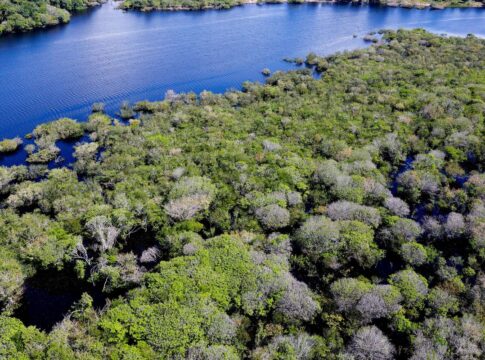 governo-lanca-edital-para-combate-ao-desmatamento-na-amazonia