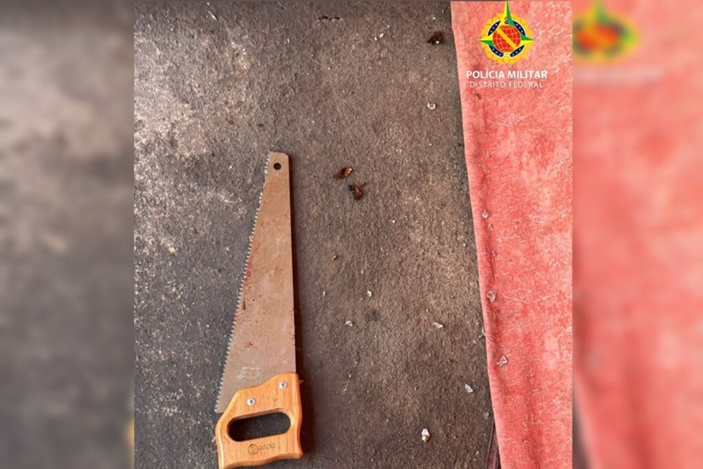 homem-e-preso-apos-tentar-matar-a-propria-mae-com-serrote