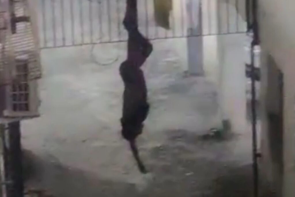 suspeito-de-invadir-predio-fica-pendurado-em-portao-em-salvador