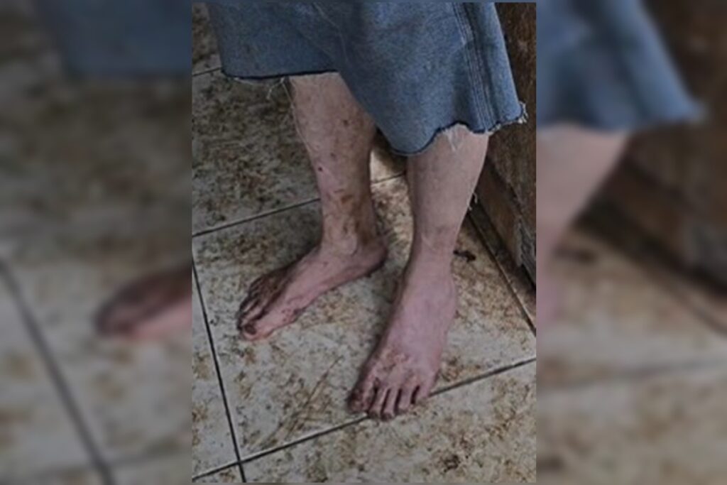 idoso-e-resgatado-pela-policia-apos-ser-abandonado-com-15-caes-no-df