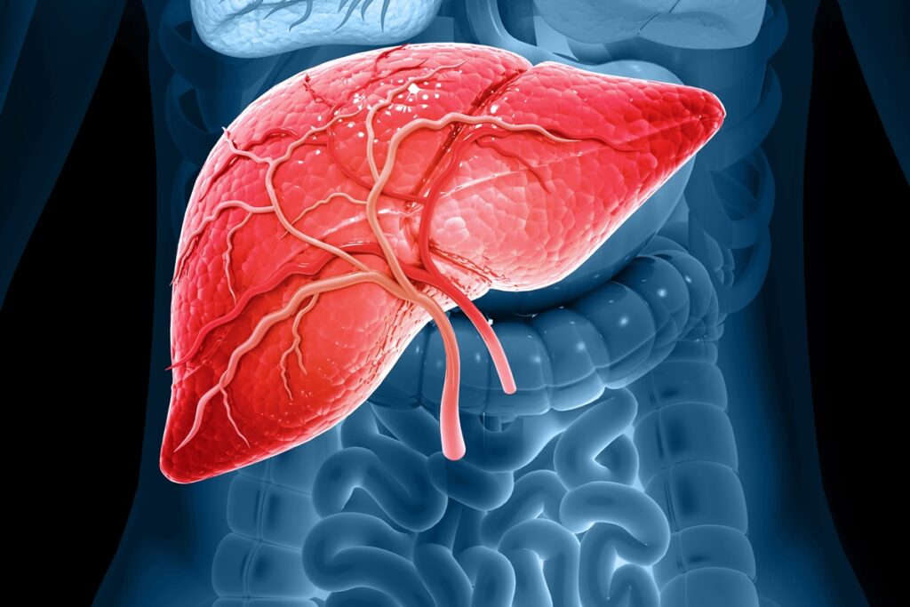 endocrinologista-cita-principal-medida-para-nao-sobrecarregar-o-figado