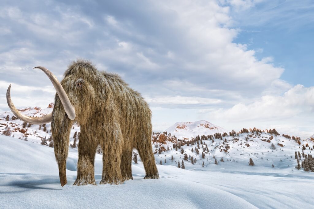 recuperacao-de-animais-extintos-nao-pode-comprometer-leis-de-protecao