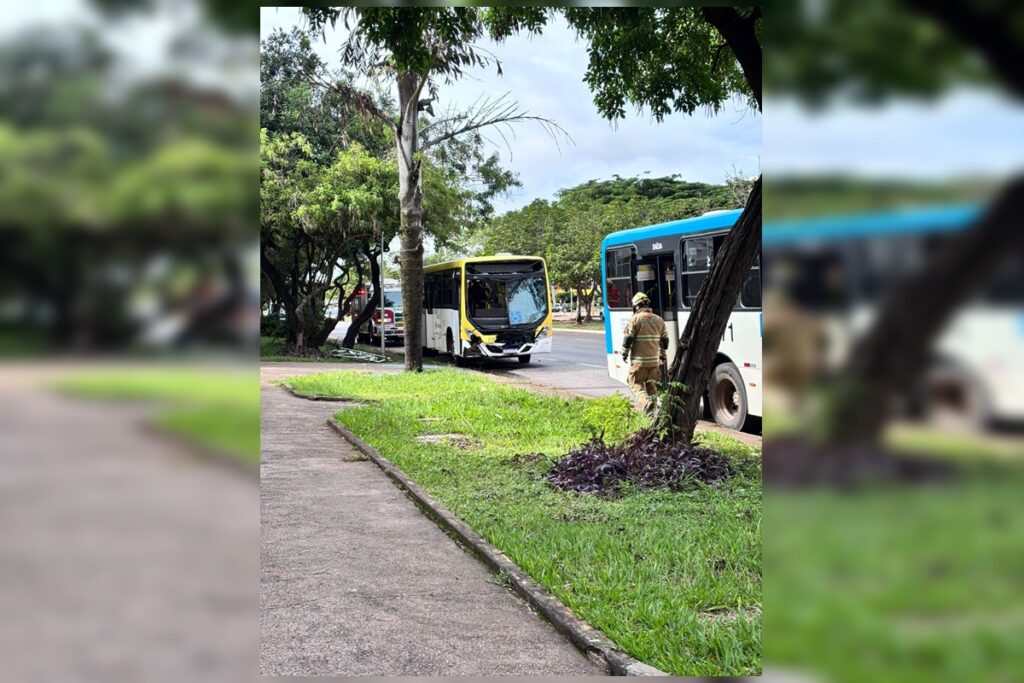 colisao-entre-dois-onibus-deixa-cinco-feridos-na-w3-norte