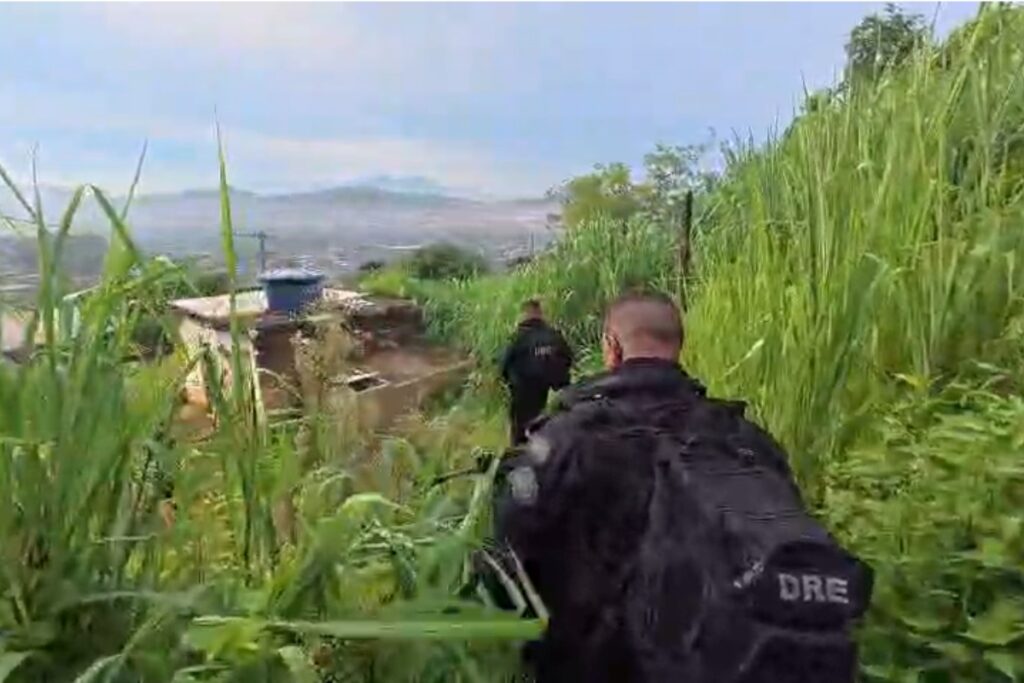 “tribunal-do-trafico”:-policia-faz-operacao-contra-envolvidos-em-estupro-coletivo-a-adolescente