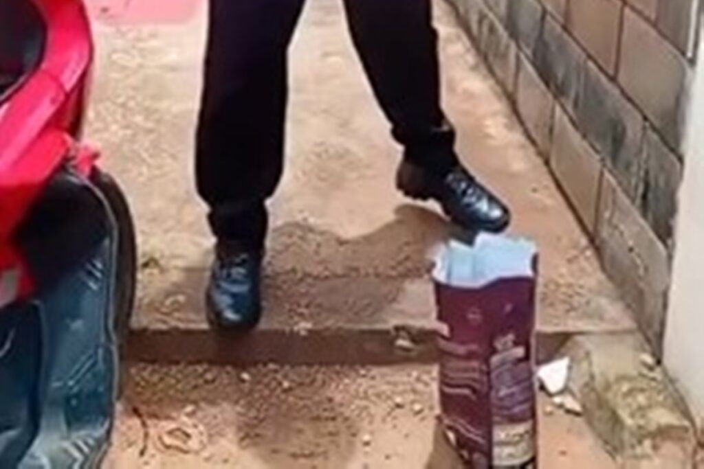 homem-e-investigado-por-impedir-alimentacao-de-gatos-comunitarios