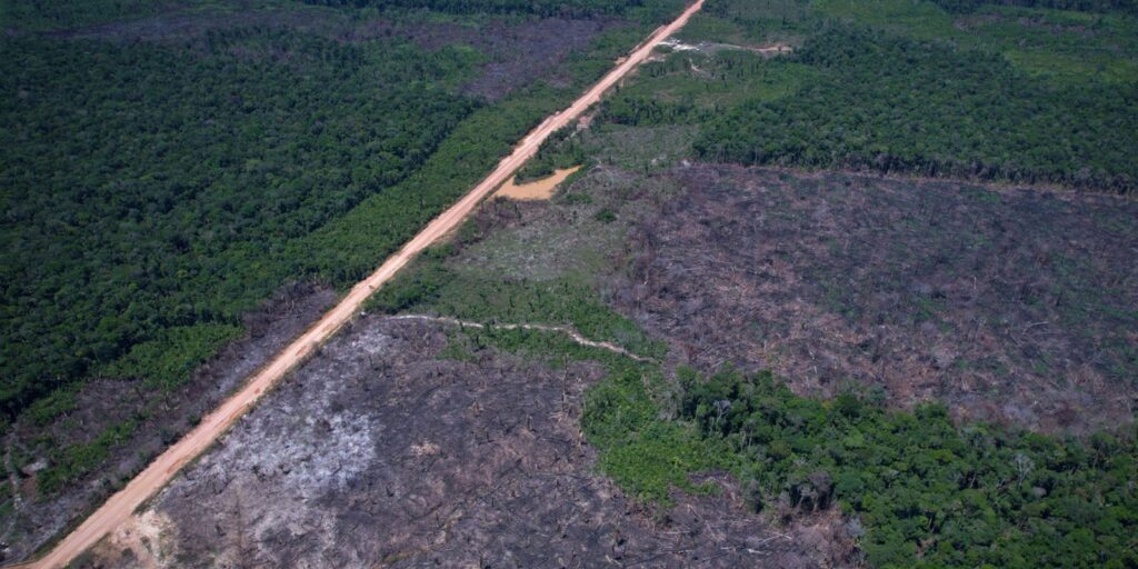 alertas-de-desmatamento-caem-35%-na-amazonia-e-6%-no-cerrado