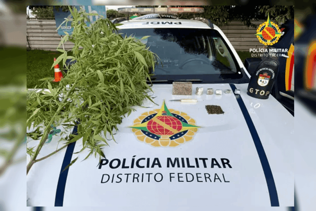 vovo-da-erva:-idoso-guardava-meio-quilo-de-maconha-dentro-de-geladeira