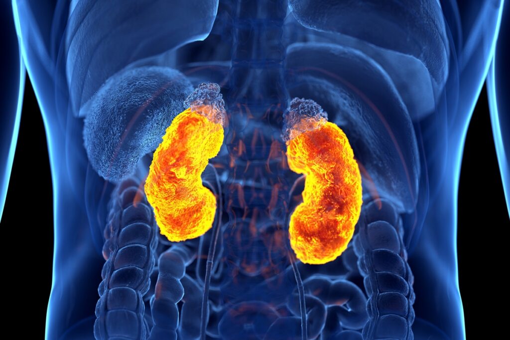 oncologista-explica-sintomas-do-cancer-nos-rins,-uma-doenca-silenciosa