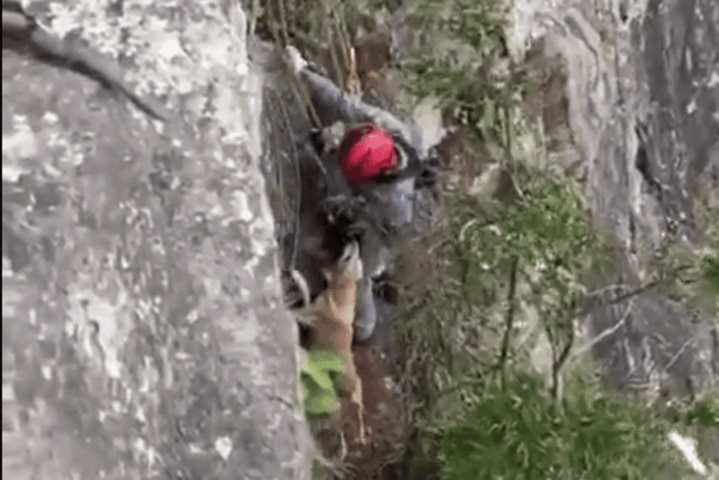 bombeiros-de-sp-fazem-rapel-para-resgatar-cao-preso-em-pedreira.-video