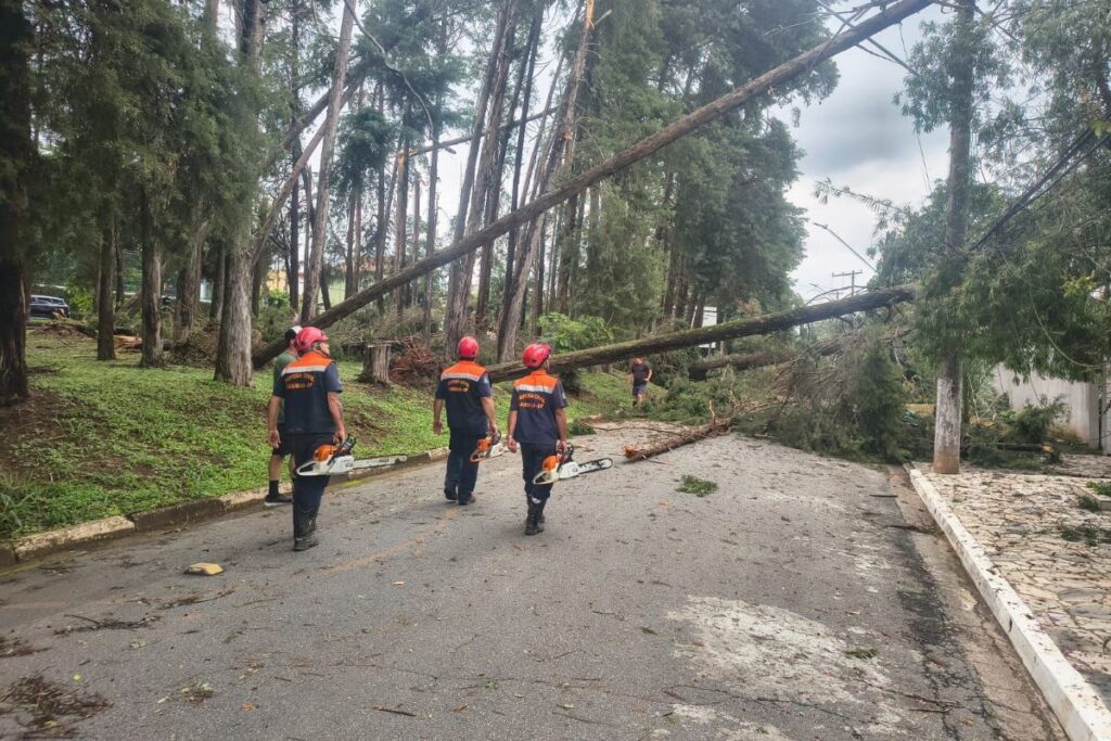 temporal-causa-queda-de-dezenas-de-arvores-e-falta-de-luz-na-grande-sp