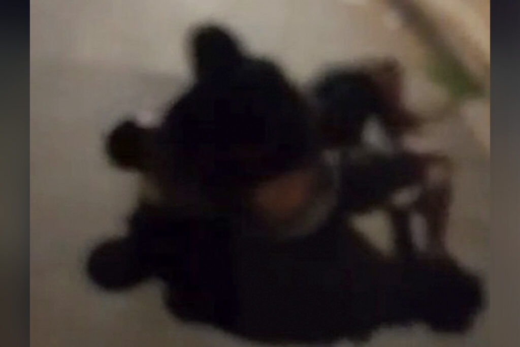 “mae,-vou-morrer”-disse-jovem-de-19-anos-apos-mata-leao-em-briga-no-df