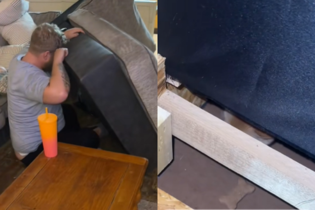 casal-compra-sofa-usado-e-encontra-“presente”-inusitado-dentro