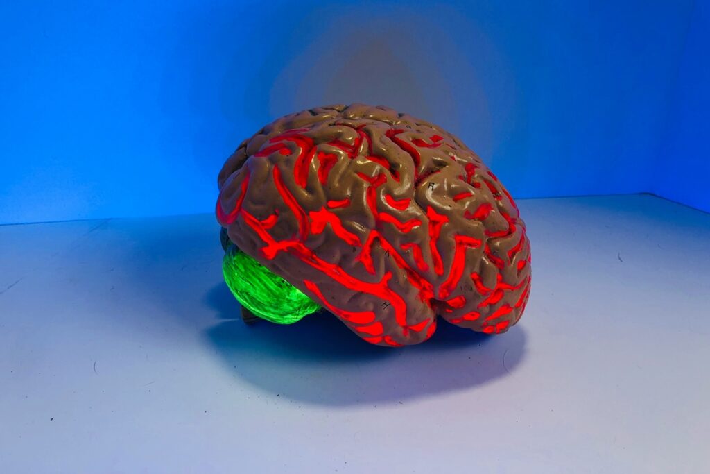 estudo-encontra-mecanismo-que-ajuda-a-frear-o-alzheimer