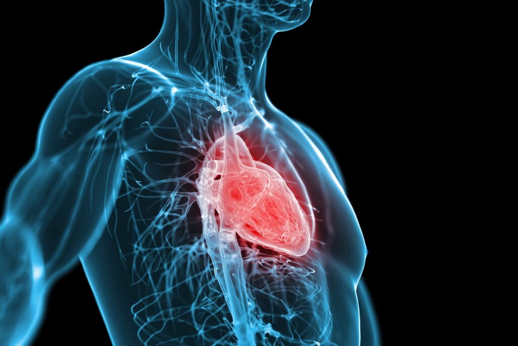 infarto:-cardiologista-cita-cuidados-que-podem-reduzir-risco-da-doenca