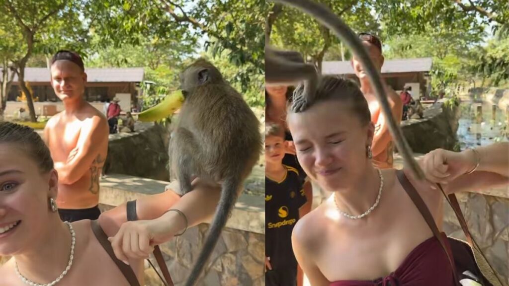 influencer-alema-e-atacada-por-macacos-na-tailandia:-“foi-horrivel!”