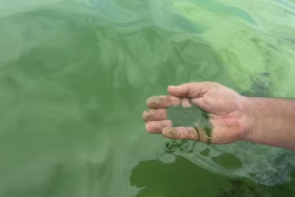 trecho-do-rio-tiete-tem-peixes-mortos,-mau-cheiro-e-coloracao-alterada