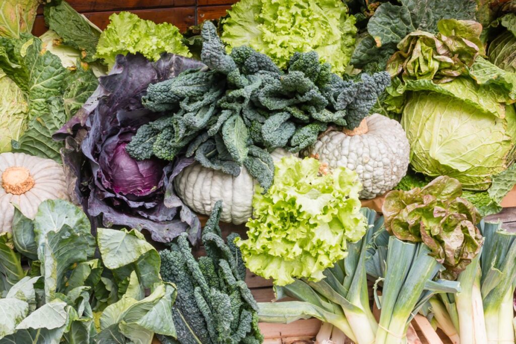 esta-verdura-ajuda-o-corpo-a-digerir-gorduras-e-protege-o-intestino