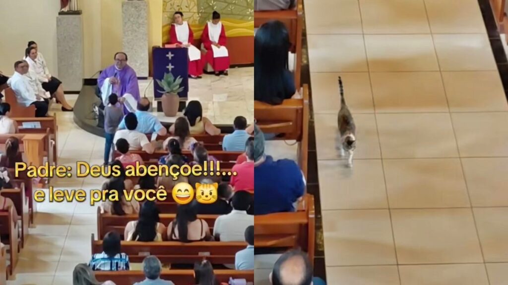 crianca-pede-bencao-para-gato-em-missa-e-padre-atende-ao-pedido