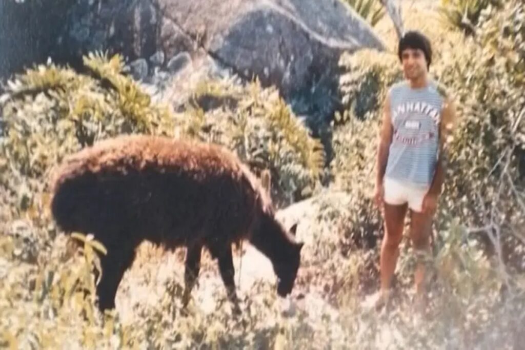 praia-paraiso-dos-surfistas-ja-foi-o-lar-de-uma-“lhama”-nos-anos-1980