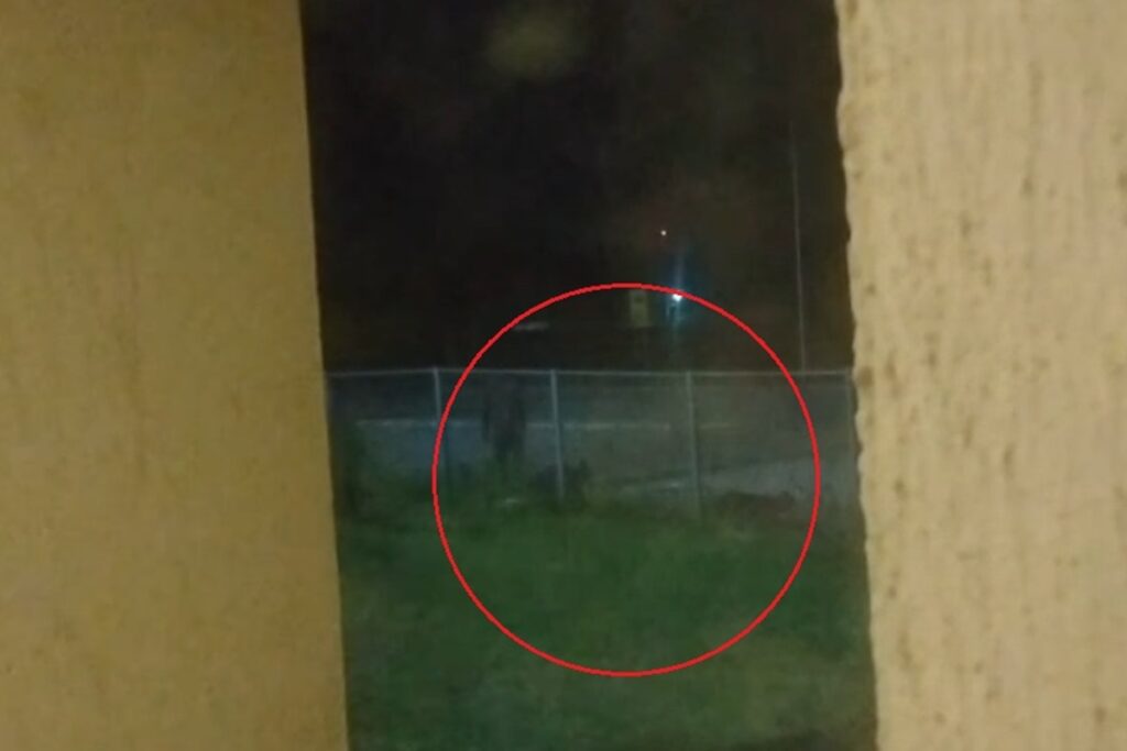 reincidente,-homem-e-preso-pela-3a-vez-em-uma-semana-por-furto-de-cabo.-veja-video