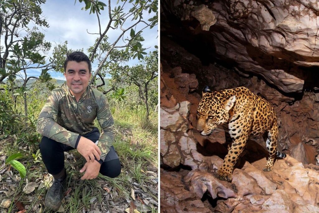 medico-troca-jaleco-por-trilhas-para-mapear-oncas-no-cerrado-goiano