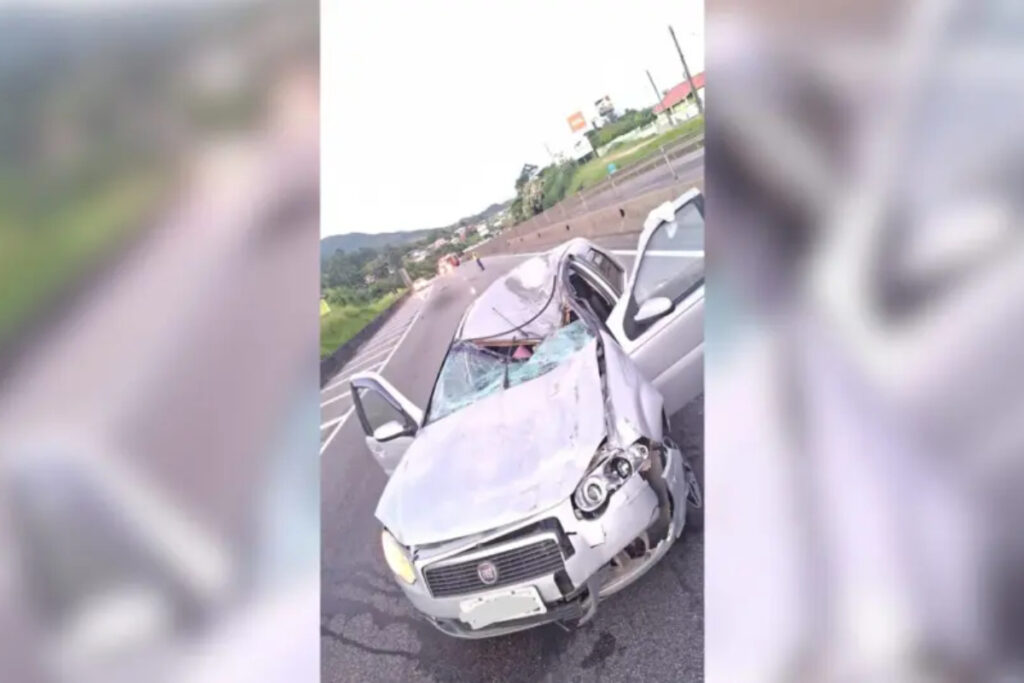 cavalo-morre-e-2-pessoas-sao-levadas-ao-hospital-apos-acidente-em-sc