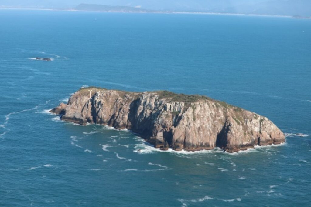 ilha-brasileira-abriga-o-menor-mamifero-do-mundo-que-esta-em-extincao