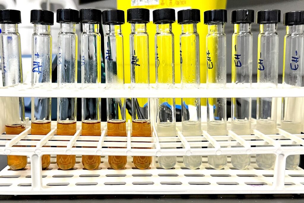 nova-tecnica-pretende-substituir-combustiveis-por-pao-velho.-entenda