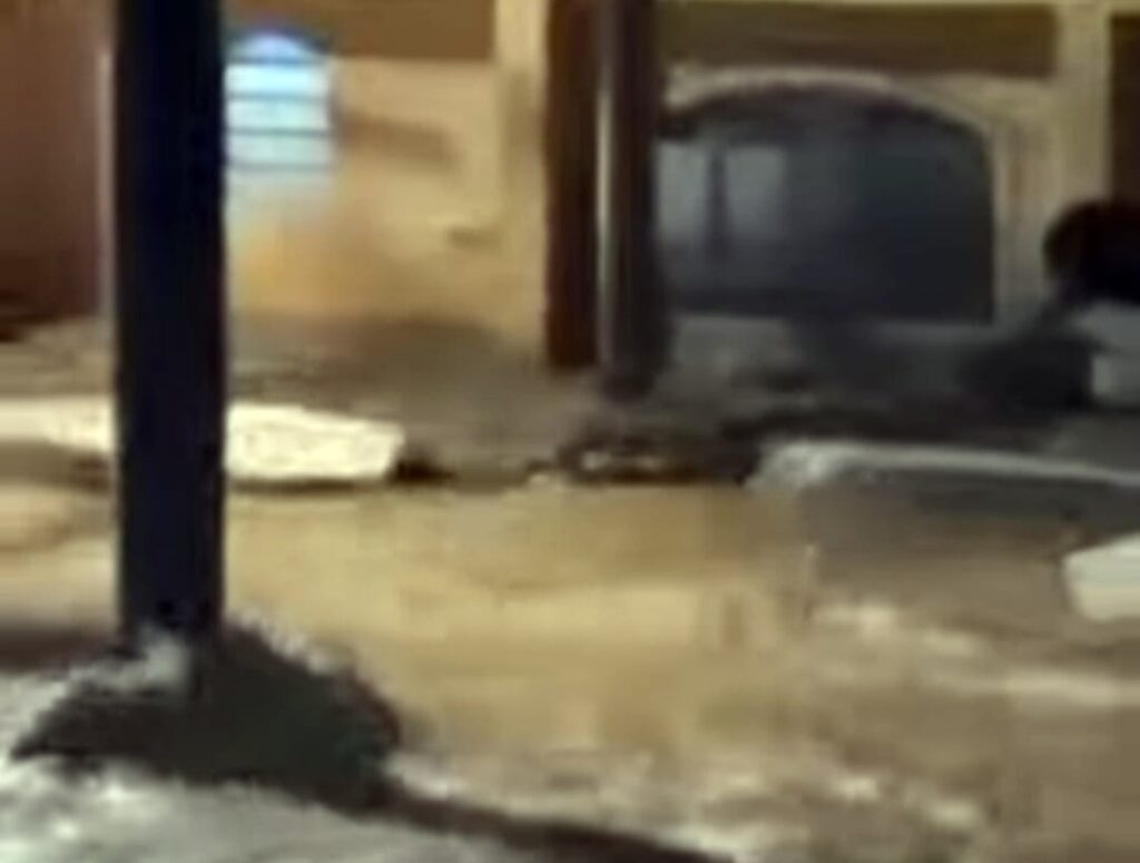 enxurrada-carrega-caixoes-pela-rua-em-uba-(mg)-durante-temporal.-video