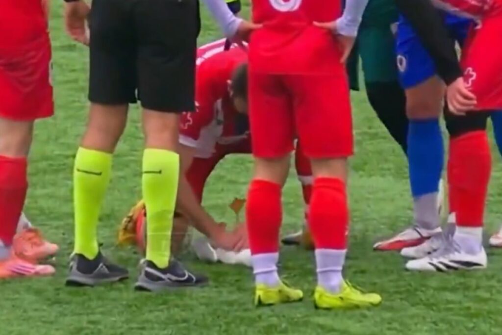 capitao-de-time-vira-heroi-ao-salvar-gaivota-atingida-por-bolada