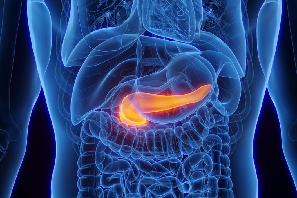 gastroenterologista-aponta-o-pior-habito-para-a-saude-do-pancreas