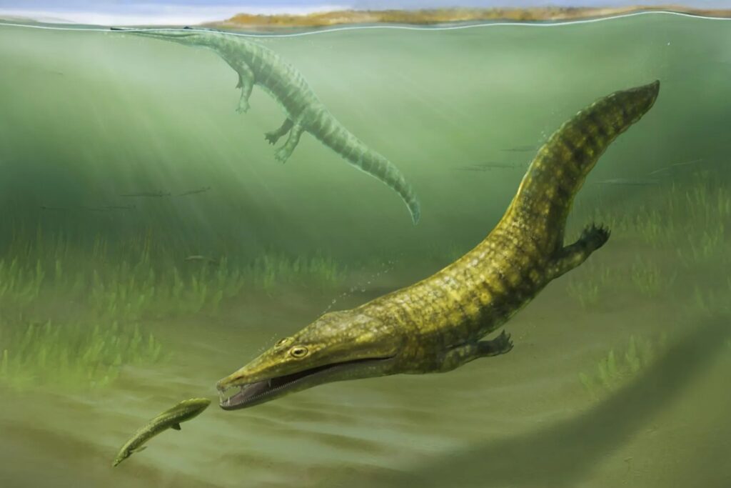 fosseis-revelam-que-anfibios-gigantes-viveram-ha-250-milhoes-de-anos