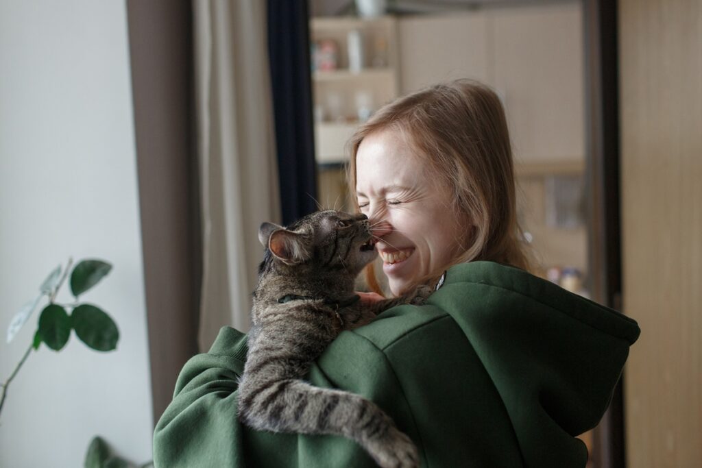 gatos-podem-ajudar-na-luta-contra-o-cancer,-sugere-novo-estudo