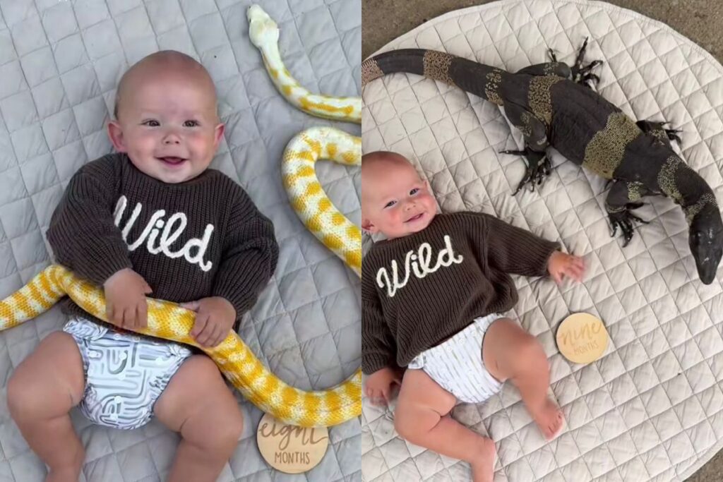 mae-e-detonada-ao-fazer-fotos-de-bebe-abracado-a-cobras-e-sapos
