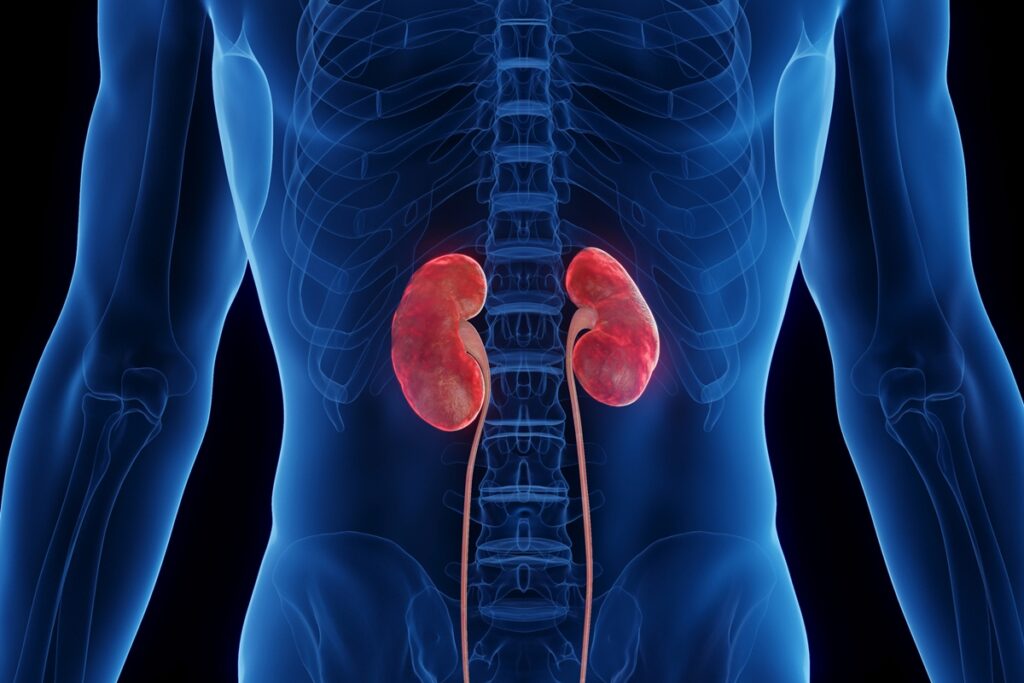 nefrologista-revela-como-beber-agua-corretamente-e-beneficiar-os-rins