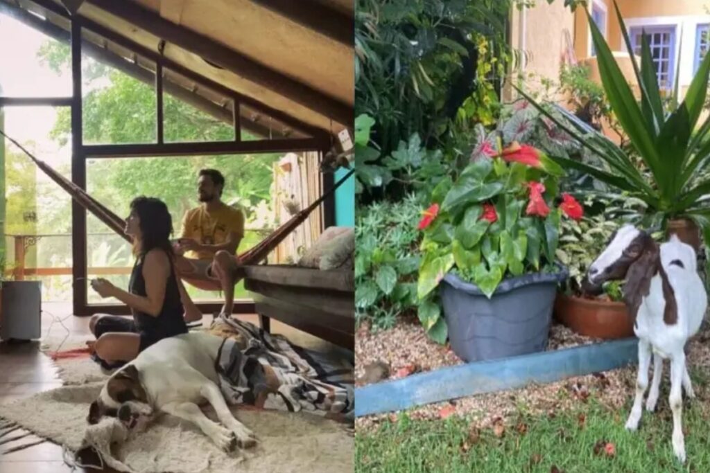 cachoeira-e-muito-verde,-veja-a-chacara-de-sergio-guize-e-bianca-bin