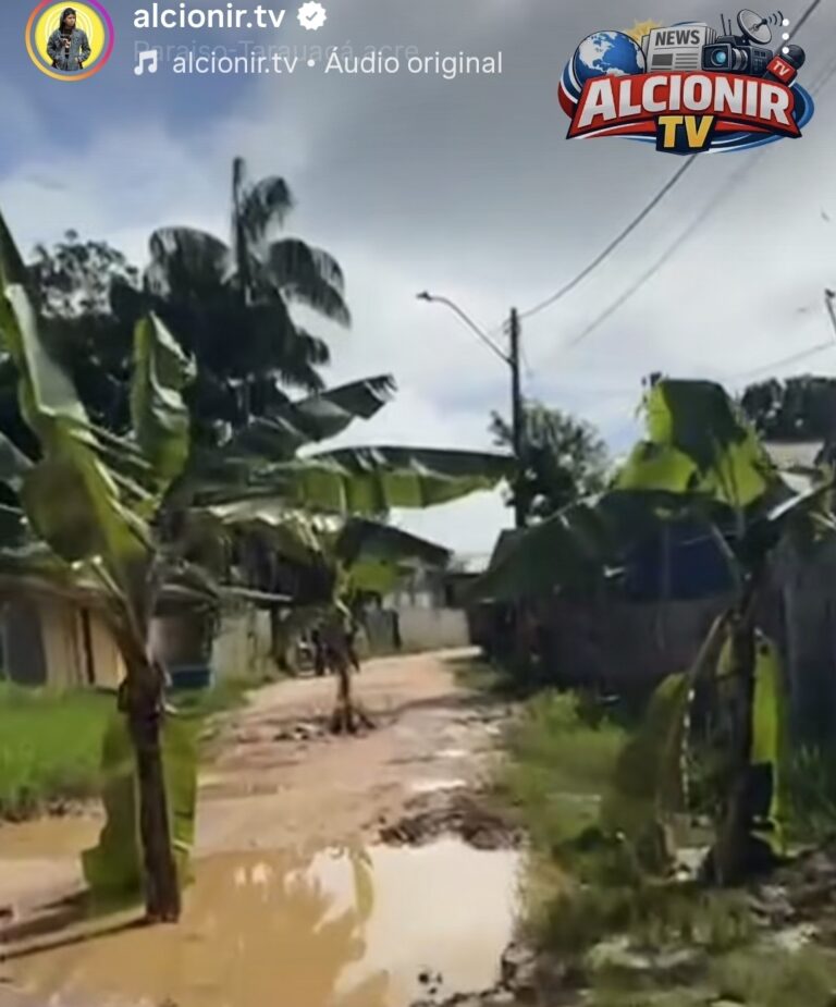 Moradores transformam rua em “bananal” para protestar contra falta de infraestrutura em Tarauacá