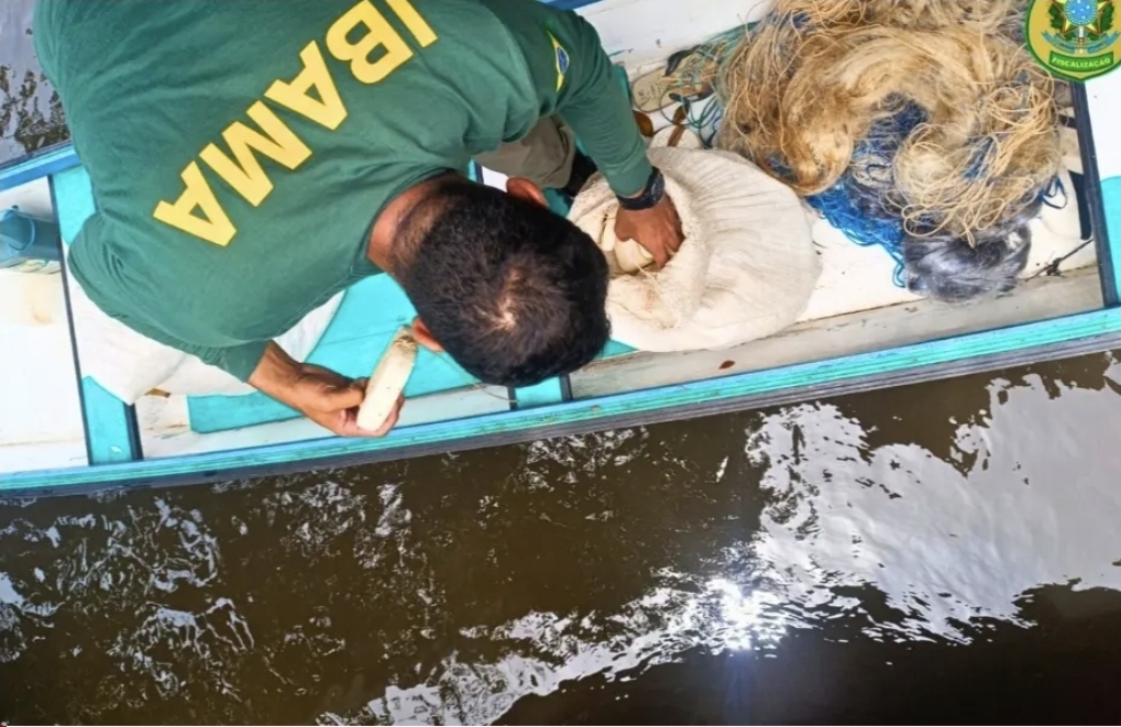 Mais de 60 redes de pesca foram apreendidas em operação em Cruzeiro do Sul