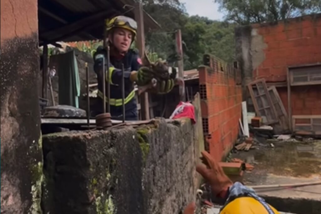 voluntarios-resgatam-galinhas-de-enchente-em-mg:-“tambem-sentem-medo”