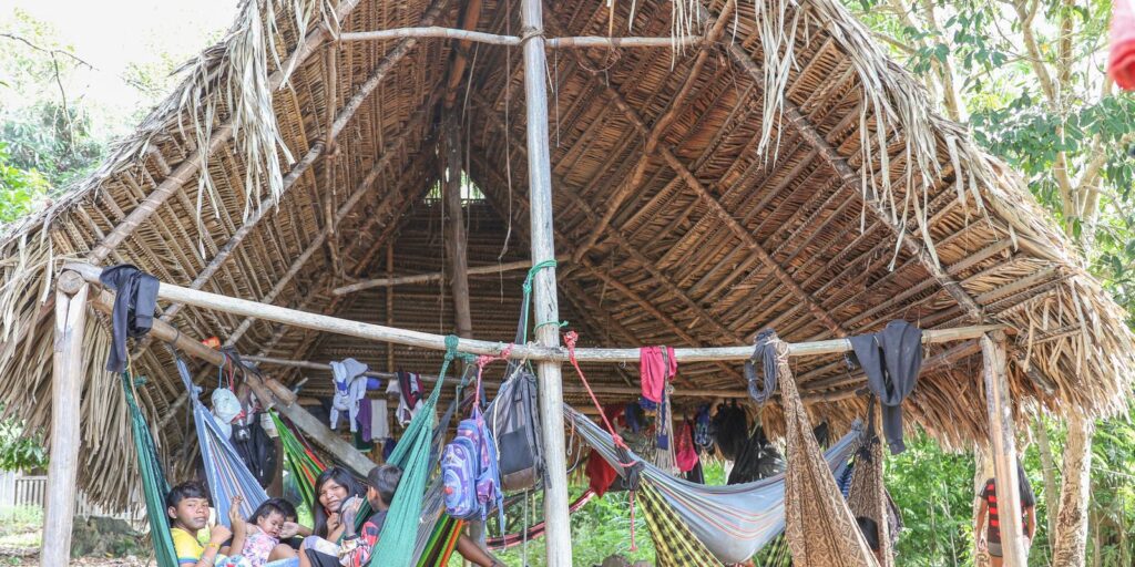 Povo Parakanã, do Pará, reocupa território após retirada de invasores povo parakana,-do-para, reocupa territorio-apos-retirada-de-invasores