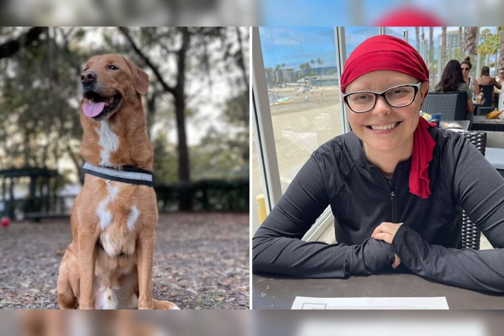 mulher-descobre-cancer-apos-cachorro-ter-comportamento-estranho