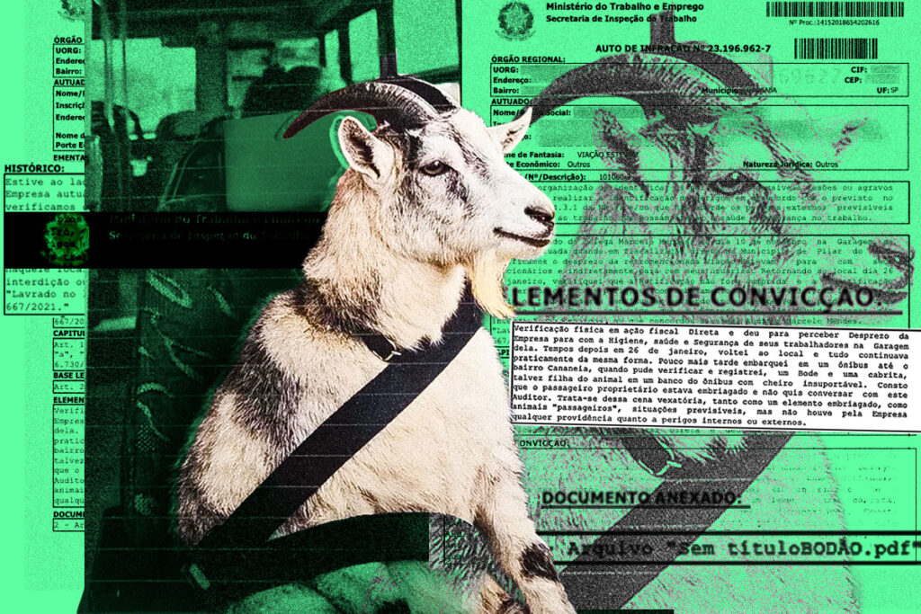 fiscal-e-suspeito-de-usar-foto-de-bode-em-onibus-com-ia-para-multar-empresa