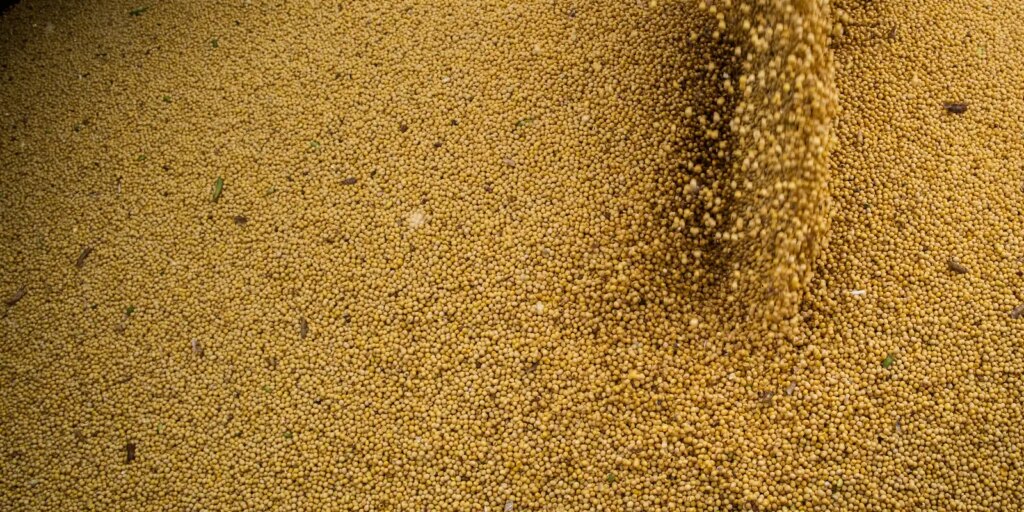 agro-cresce-11,7%,-impulsiona-pib-e-ganha-participacao-na-economia