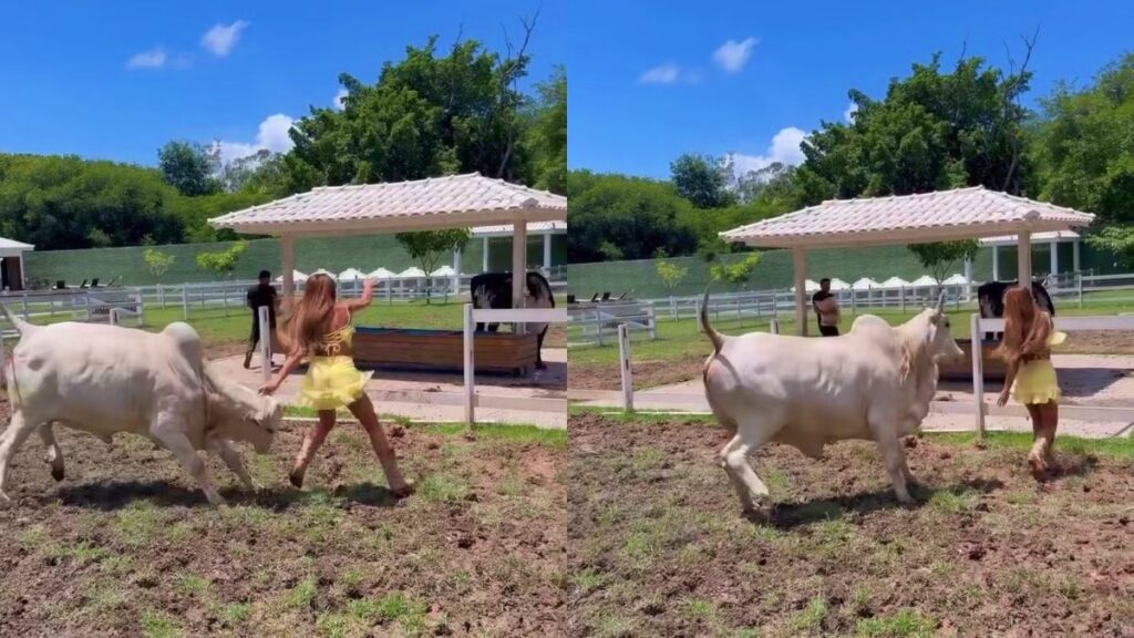 nicole-bahls-e-surpreendida-com-cabecada-da-propria-vaca-e-diverte-web