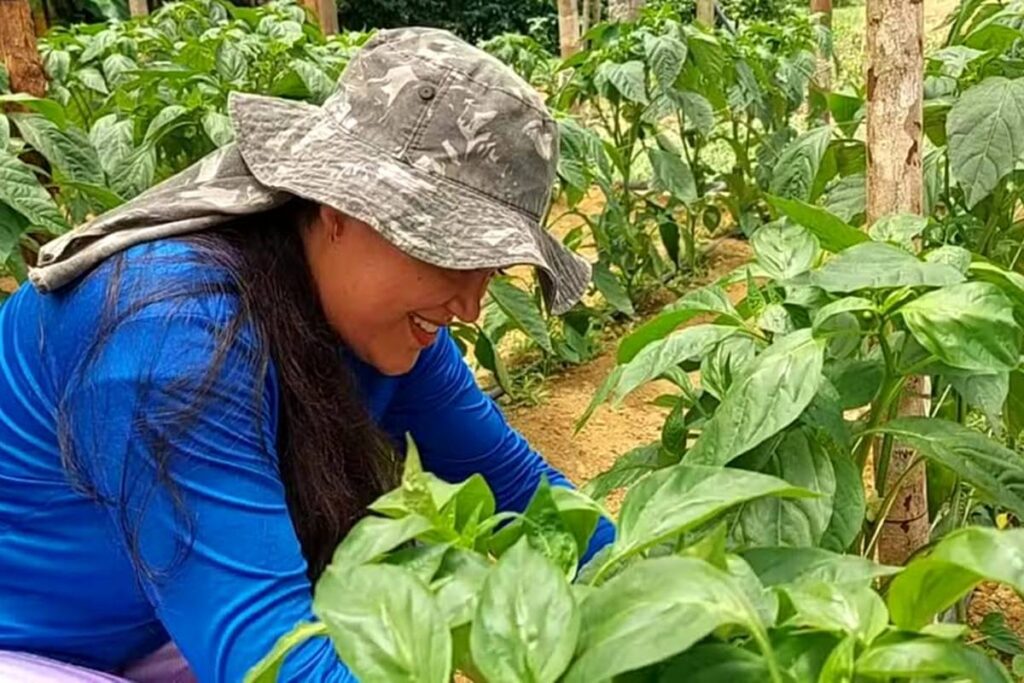 projeto-oferece-100-vagas-de-capacitacao-as-mulheres-do-campo