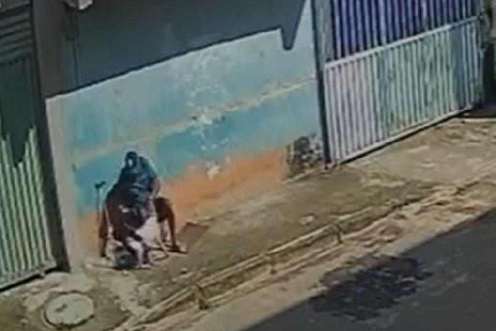 homem-e-detido-acusado-de-zoofilia-e-agressao-a-cadela-no-df.-veja-video