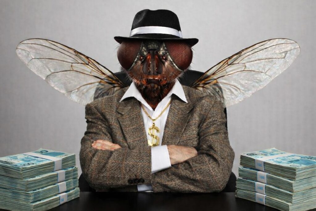 “moscao”,-o-maior-agiota-de-brazlandia,-e-denunciado-pelo-mpdft