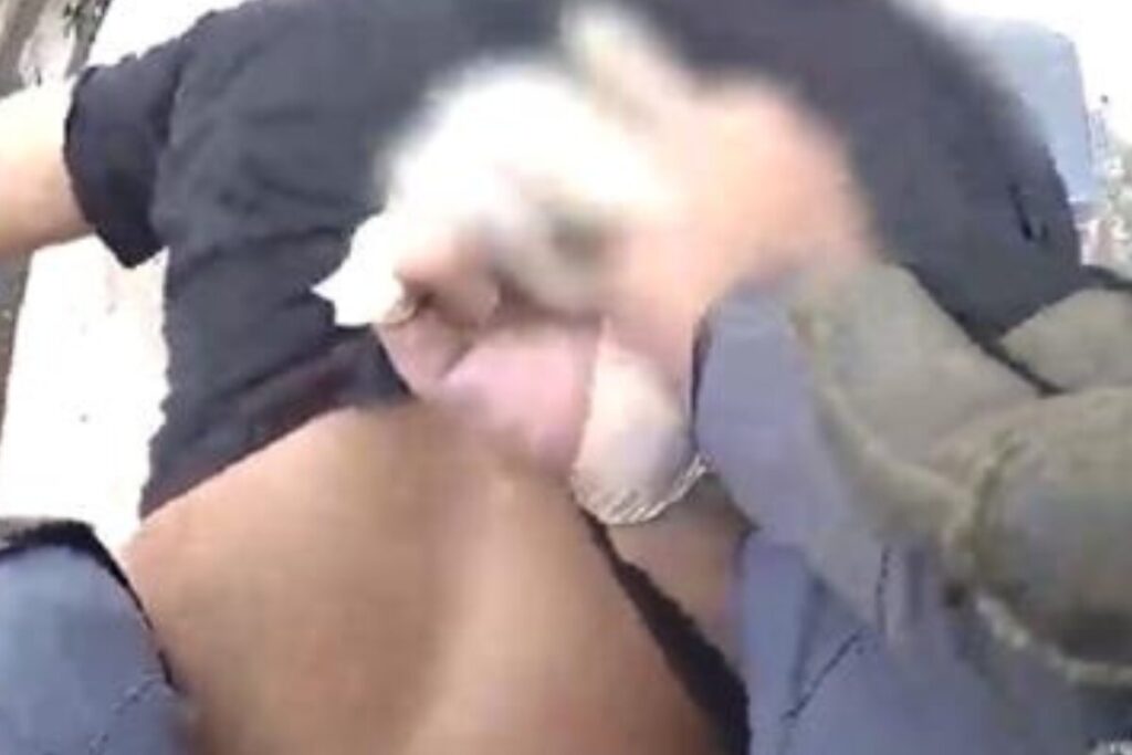 camera-da-pm-mostra-fuga-e-perseguicao-a-ladrao-de-predios-luxuosos