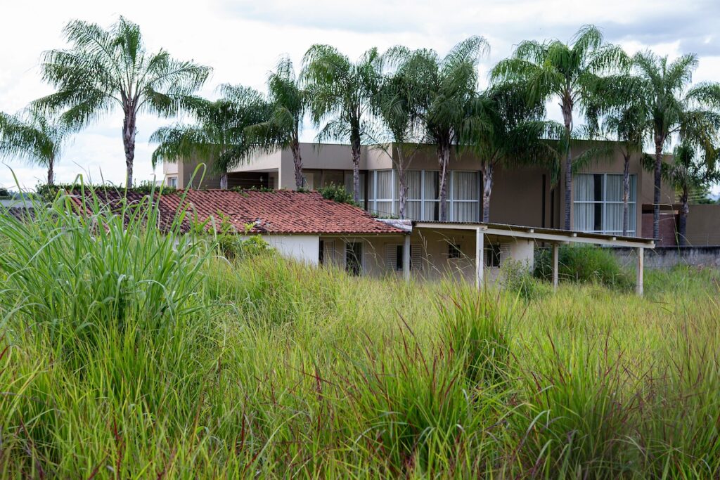 df-registra-350-reclamacoes-de-areas-abandonadas,-com-cobras-e-matagal.-veja-video