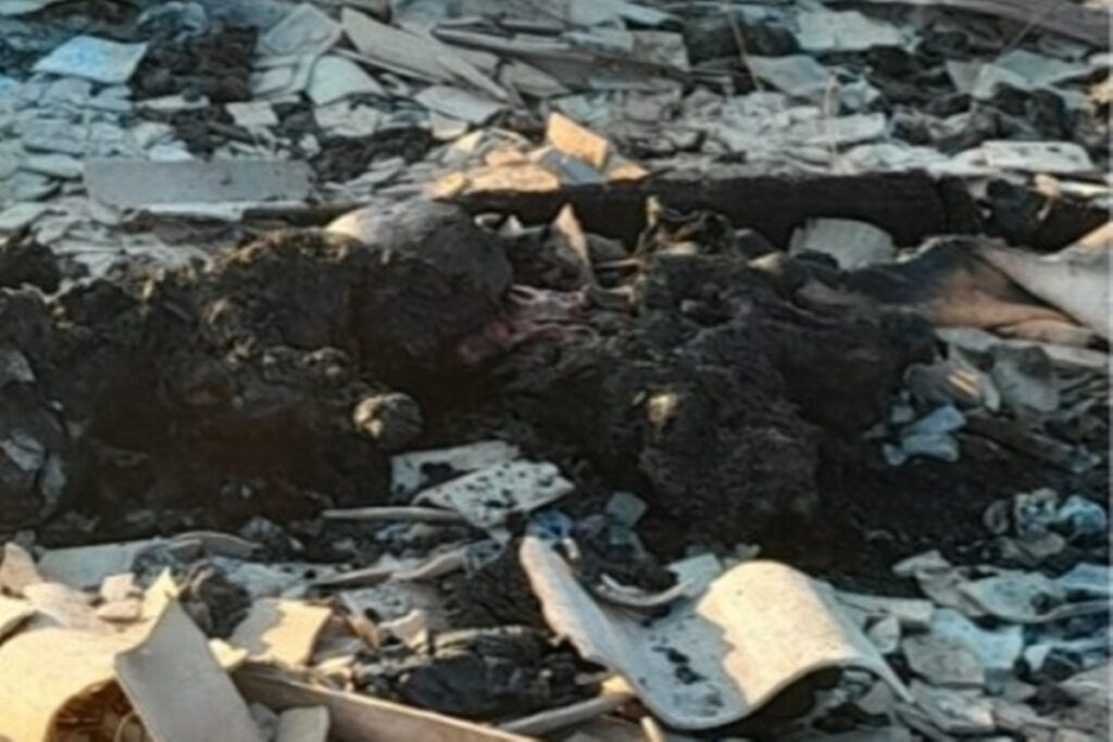 mulher-indigena-morre-carbonizada-e-marido-e-principal-suspeito